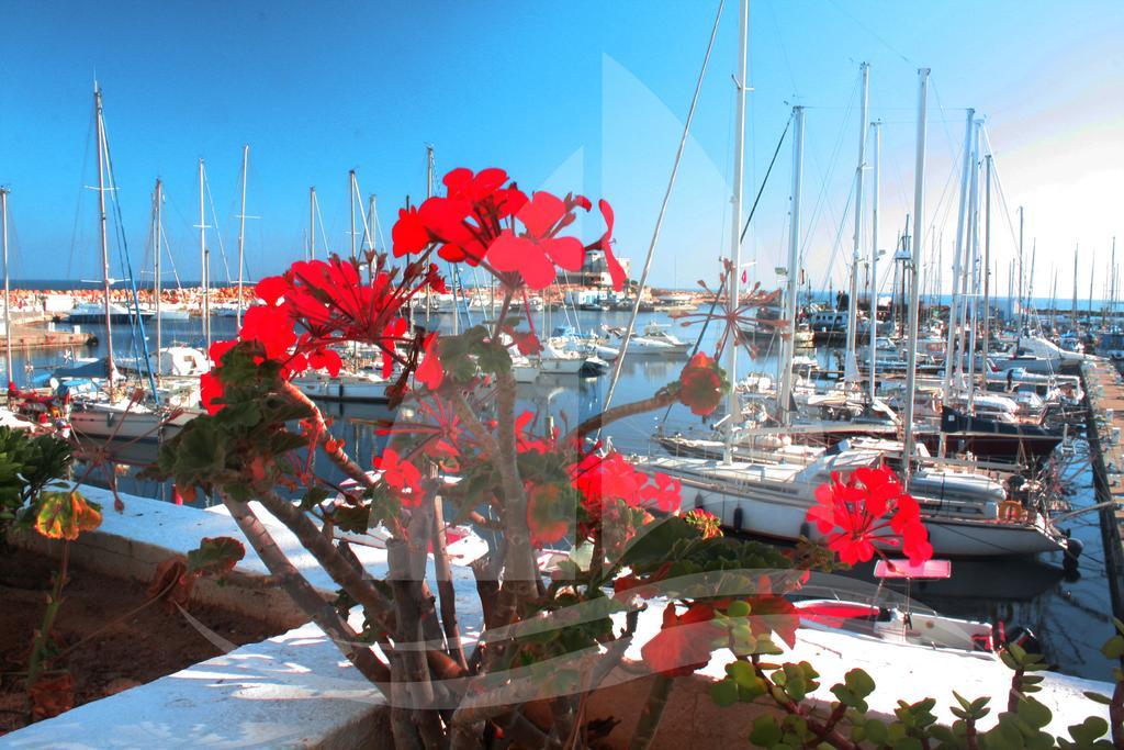 Marina Cap Monastir- Appart'Hotel المظهر الخارجي الصورة
